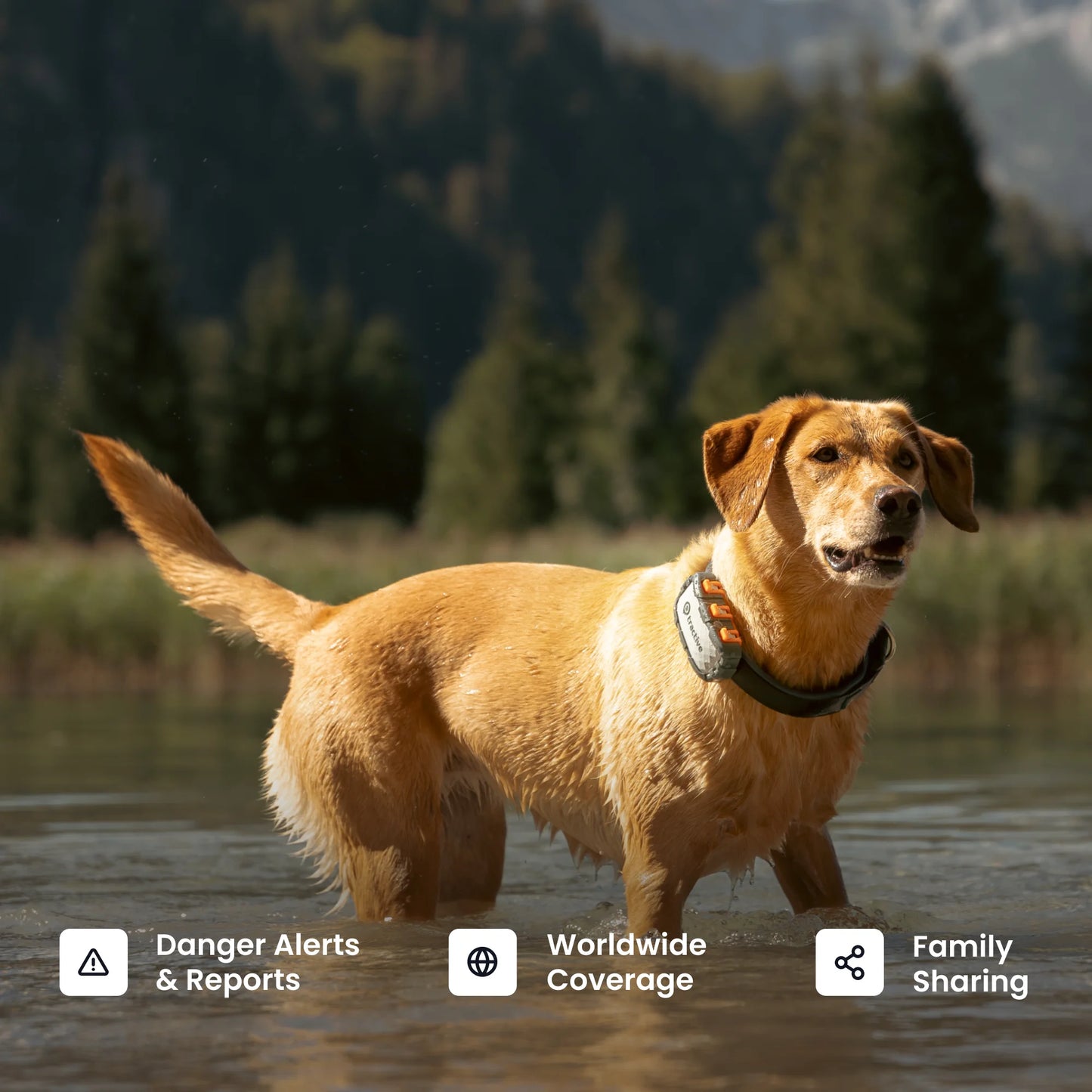 XL Smart GPS Dog Tracker (50 Lbs+) with Vital Signs Monitoring (Adventure Edition)
