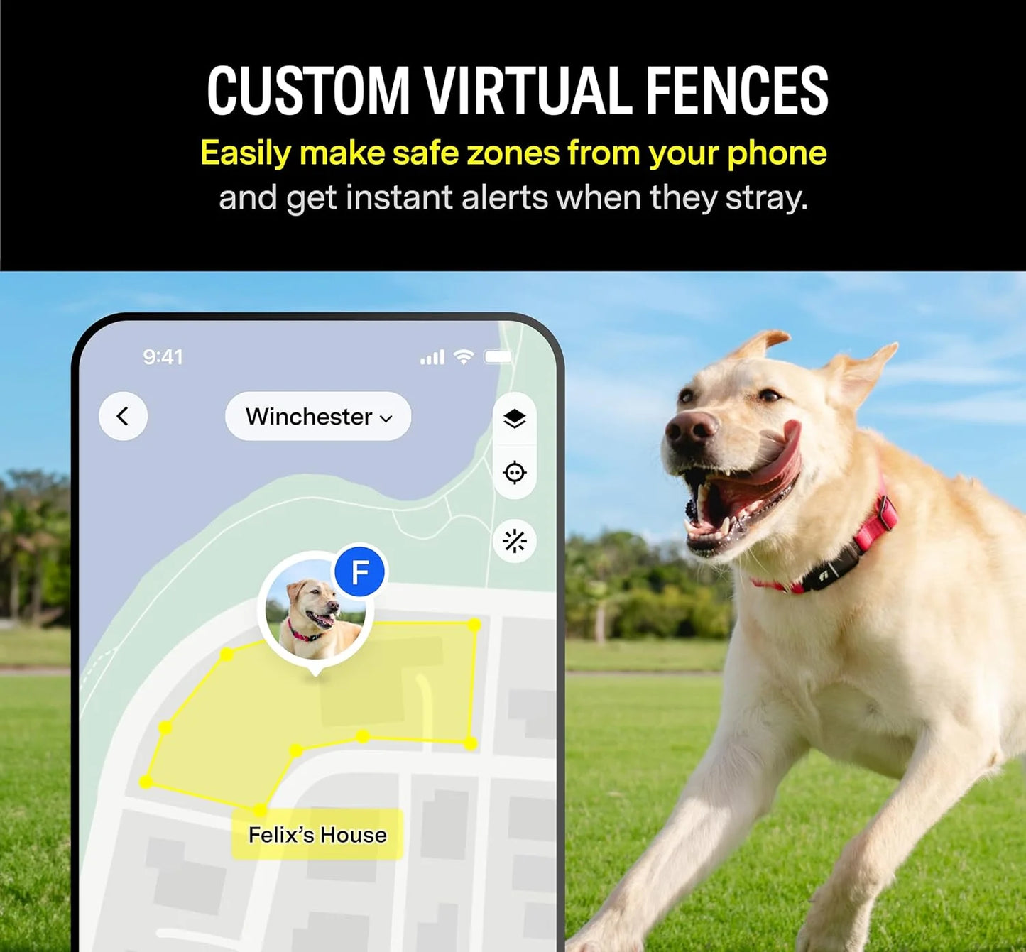 Series 3 Smart Dog Collar with GPS Tracking and Activity Monitor, Waterproof with LED Light, Gray, Large