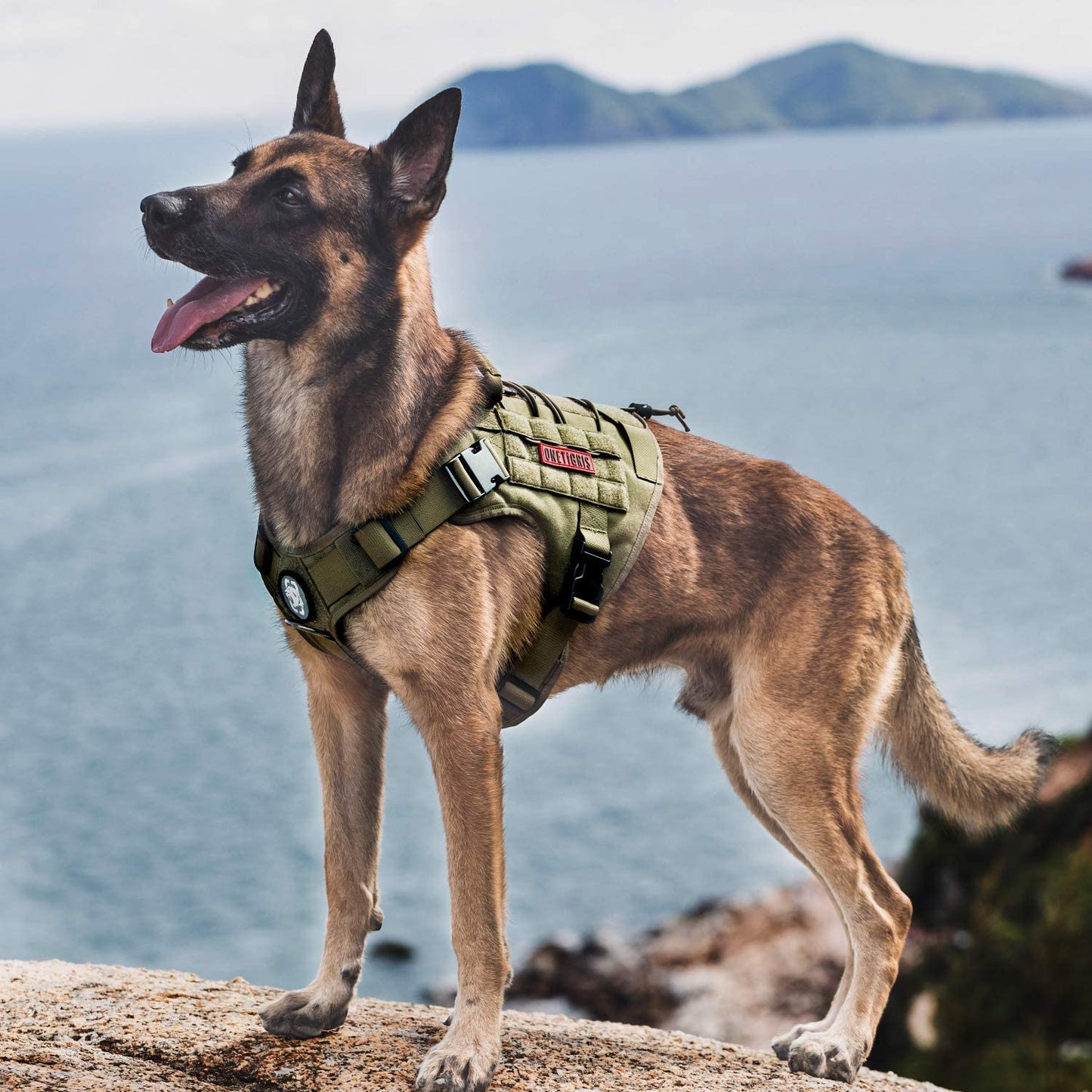 Tactical Dog Harness - Adjustable No-Pull Breathable Pet Vest with Handle for Outdoor Activities (Ranger Green, Small)