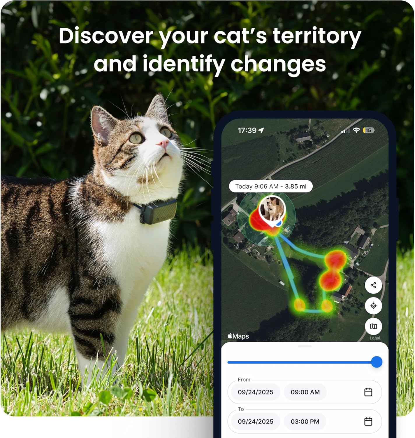 GPS Cat Mini Tracker - Real-Time Tracking, Health Monitoring, Virtual Fences for Cats 6.5+ lbs, 5-Day Battery, Waterproof (Purple)
