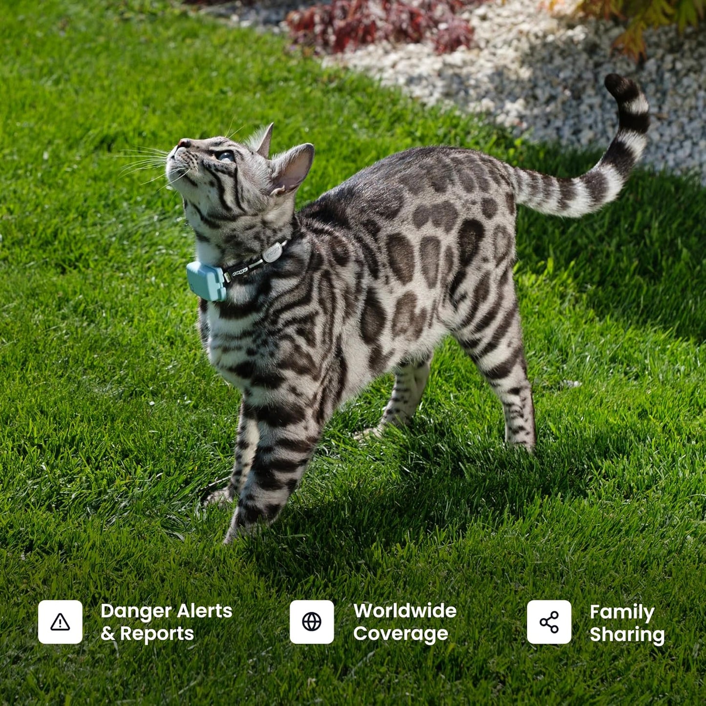 GPS Cat Mini Tracker - Real-Time Tracking, Health Monitoring, Virtual Fences for Cats 6.5+ lbs, 5-Day Battery, Waterproof (Purple)