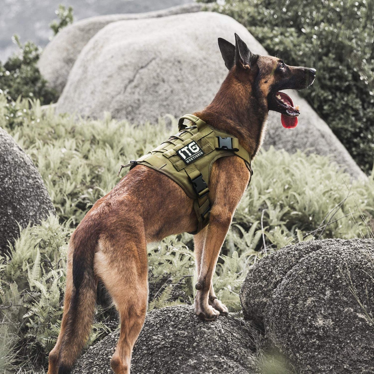 Tactical Dog Harness - Adjustable No-Pull Breathable Pet Vest with Handle for Outdoor Activities (Ranger Green, Small)