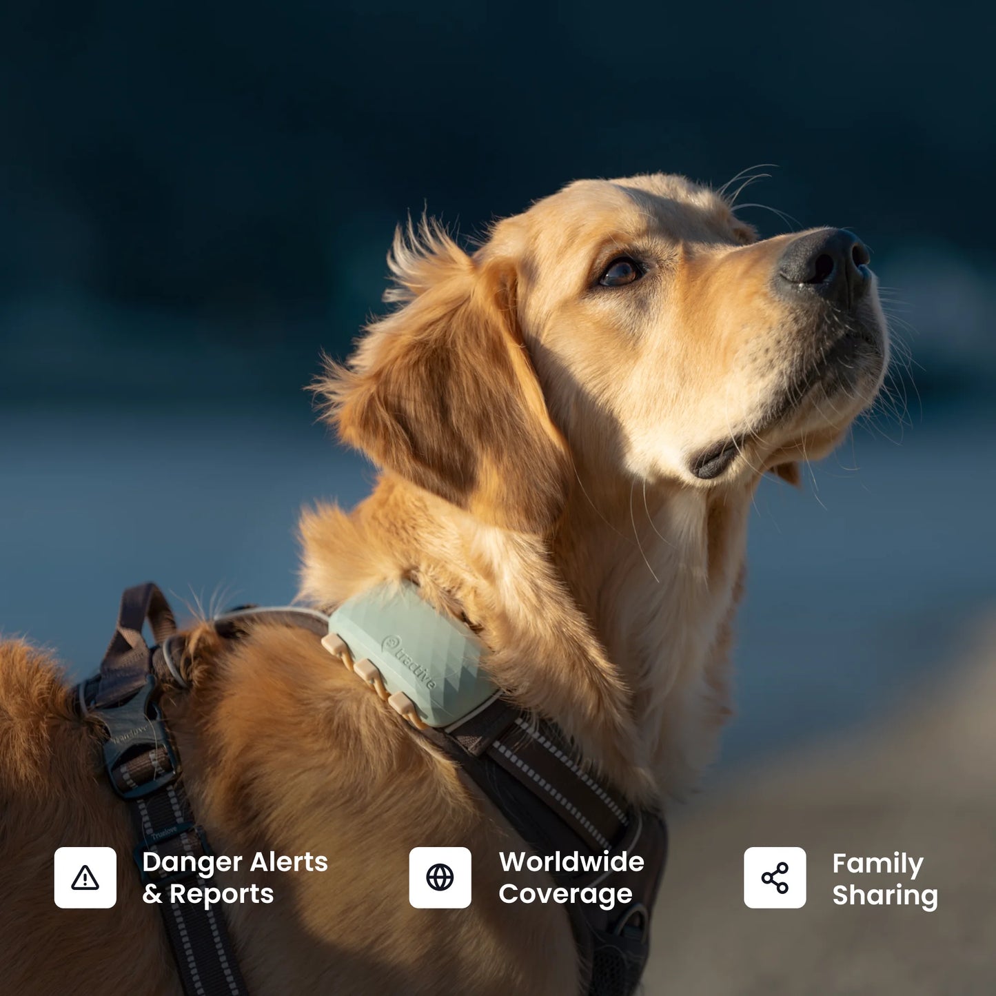GPS Dog Tracker with Vital Signs Monitoring - Real-Time Tracking, Escape Alerts, Health Insights for Dogs 50+ lbs, 1-Month Battery, App-Connected (Green)