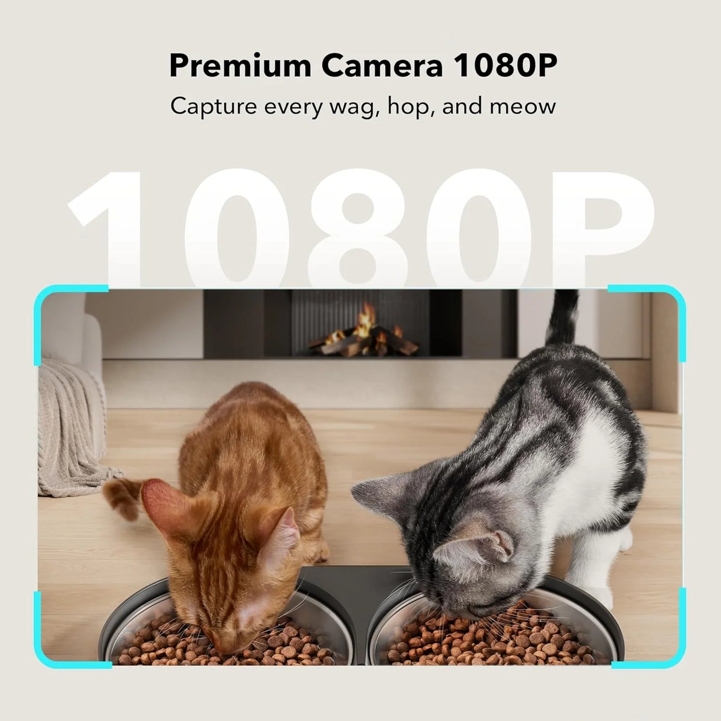 Granary Automatic Two Cat with Camera Cat & Dog Feeder + 3 Pet Food Desiccant Bags, 5-L, Black