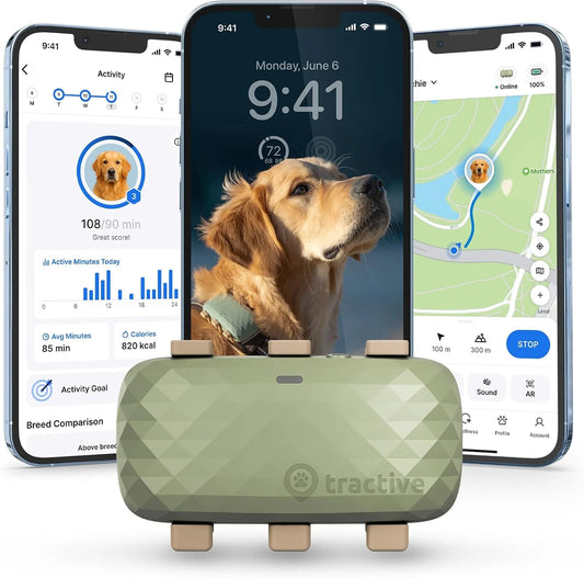 GPS Dog Tracker with Vital Signs Monitoring - Real-Time Tracking, Escape Alerts, Health Insights for Dogs 50+ lbs, 1-Month Battery, App-Connected (Green)