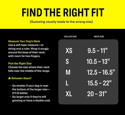 Series 3 Smart Dog Collar with GPS Tracking and Activity Monitor, Waterproof with LED Light, Gray, Large