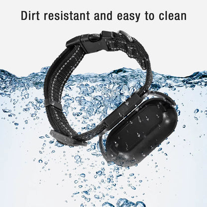 PetGadgetz P.O.V. CollarCam – 120° HD Pet Action Camera Adjustable Magnetic Clip, OTG Instant Share, 1080P Video – Perfect for Cats & Small Dogs