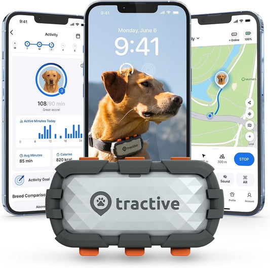 XL Smart GPS Dog Tracker (50 Lbs+) with Vital Signs Monitoring (Adventure Edition)