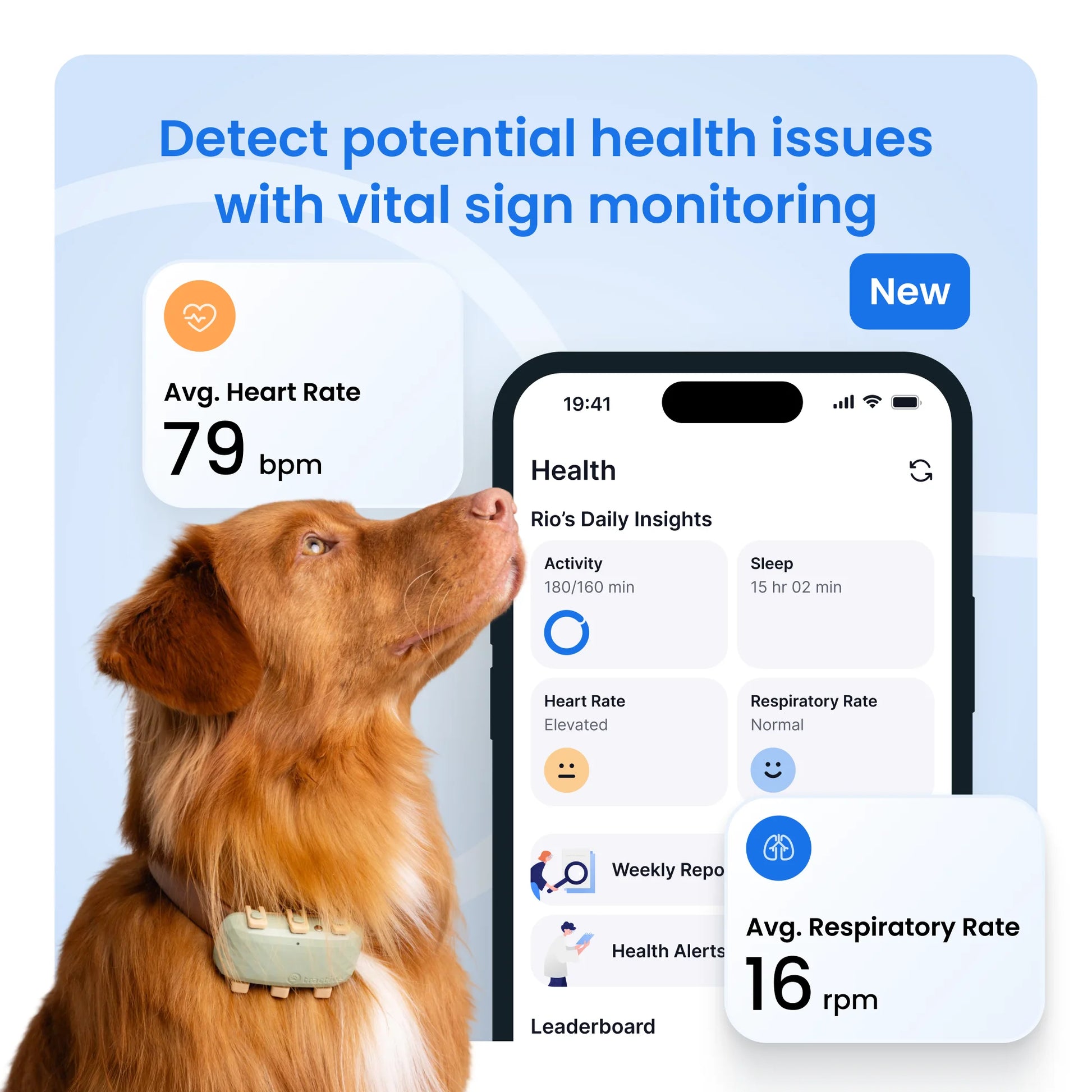 GPS Dog Tracker with Vital Signs Monitoring - Real-Time Tracking, Escape Alerts, Health Insights for Dogs 50+ lbs, 1-Month Battery, App-Connected (Green)