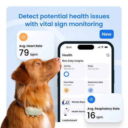 GPS Dog Tracker with Vital Signs Monitoring - Real-Time Tracking, Escape Alerts, Health Insights for Dogs 50+ lbs, 1-Month Battery, App-Connected (Green)