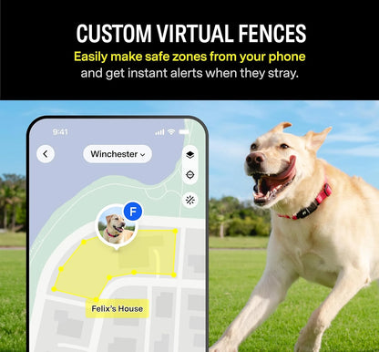 Series 3 Smart Dog Collar with GPS Tracking and Activity Monitor, Waterproof with LED Light, Gray, Large