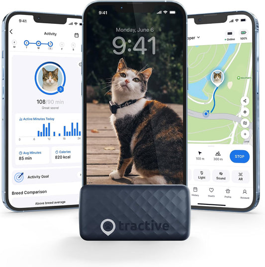 GPS Cat Mini Tracker - Real-Time Tracking, Health Monitoring, Virtual Fences for Cats 6.5+ lbs, 5-Day Battery, Waterproof (Purple)