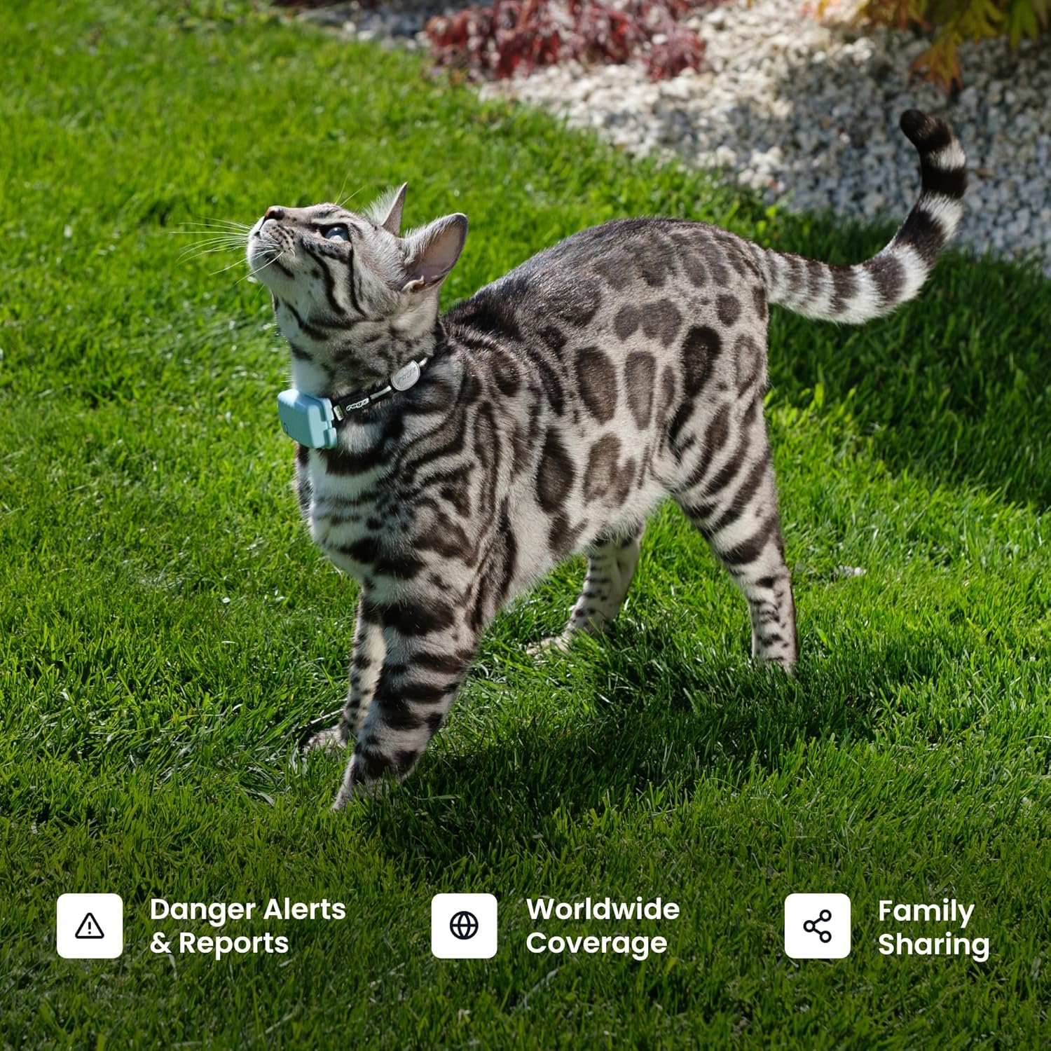 GPS Cat Mini Tracker - Real-Time Tracking, Health Monitoring, Virtual Fences for Cats 6.5+ lbs, 5-Day Battery, Waterproof (Purple)