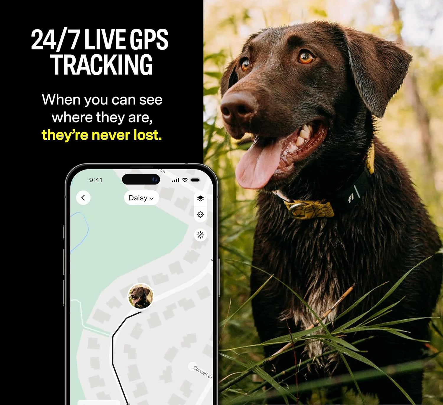 Series 3 Smart Dog Collar with GPS Tracking and Activity Monitor, Waterproof with LED Light, Gray, Large