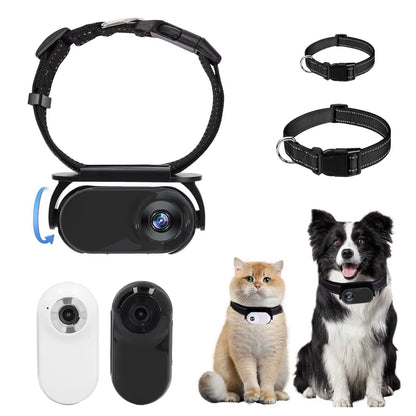 PetGadgetz P.O.V. CollarCam – 120° HD Pet Action Camera Adjustable Magnetic Clip, OTG Instant Share, 1080P Video – Perfect for Cats & Small Dogs