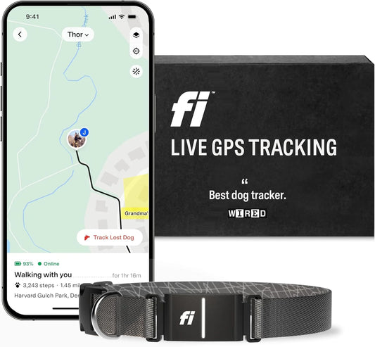 Series 3 Smart Dog Collar with GPS Tracking and Activity Monitor, Waterproof with LED Light, Gray, Large