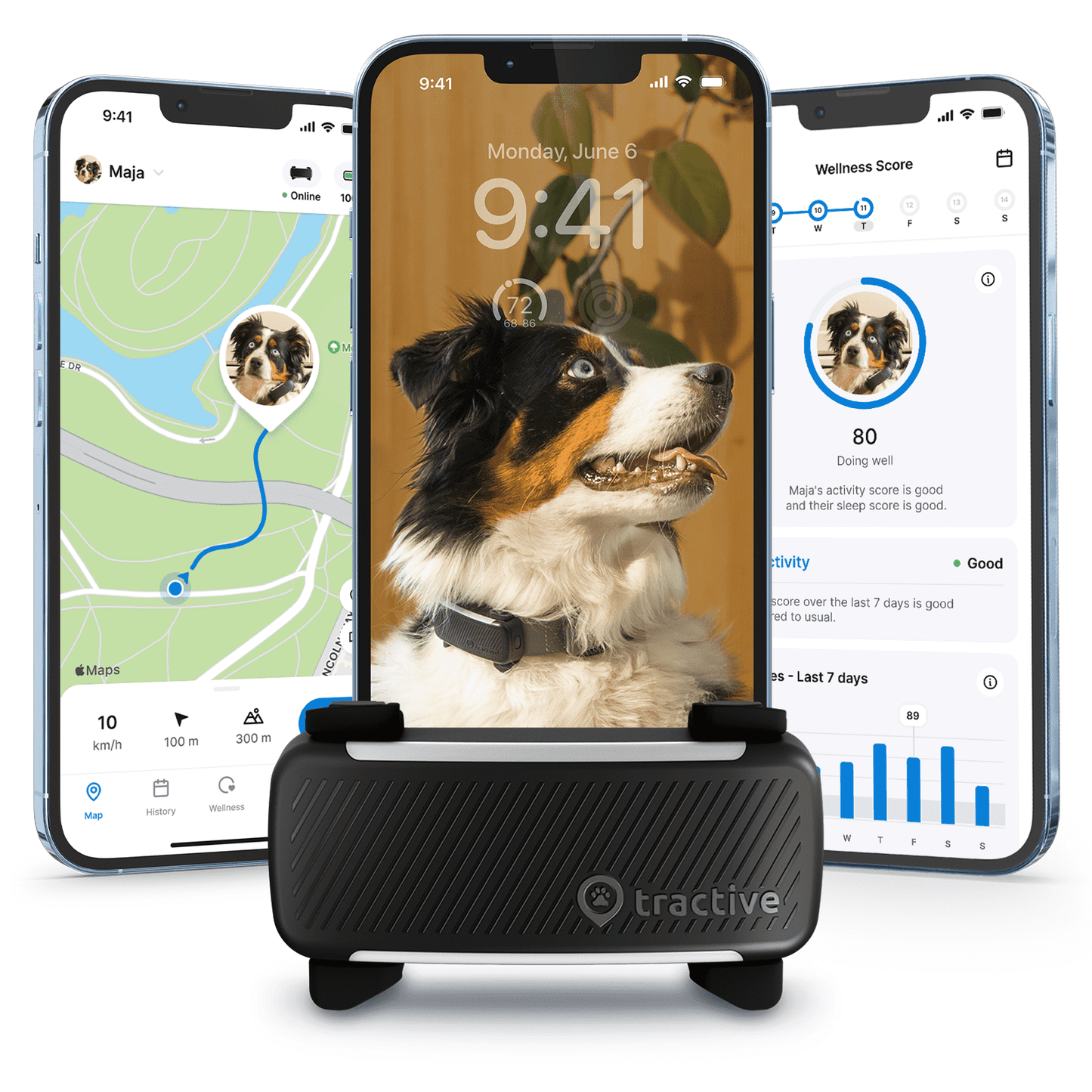 GPS Dog Tracker with Vital Signs Monitoring - Real-Time Tracking, Escape Alerts, Health Insights for Dogs 50+ lbs, 1-Month Battery, App-Connected (Green)