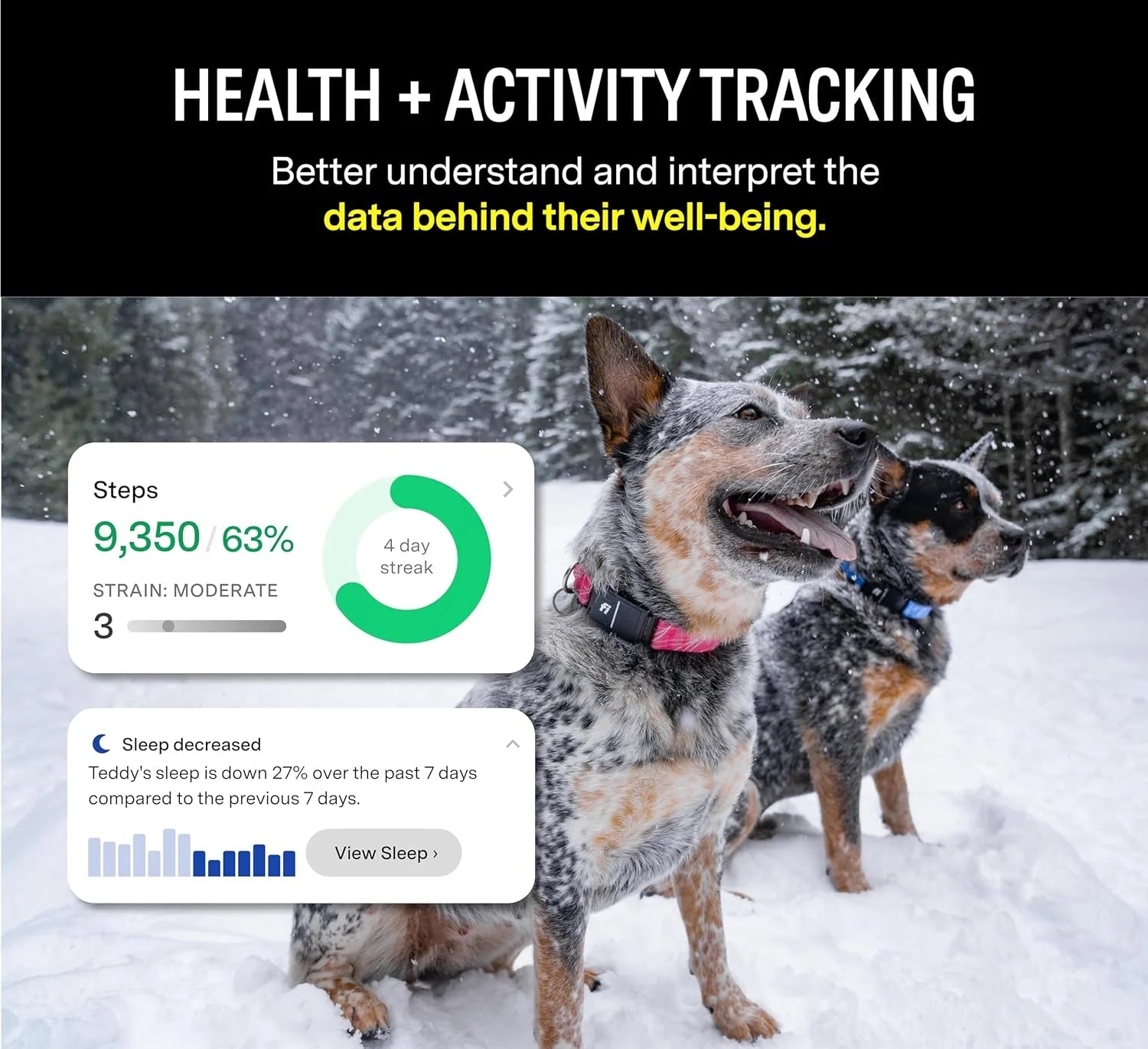 Series 3 Smart Dog Collar with GPS Tracking and Activity Monitor, Waterproof with LED Light, Gray, Large