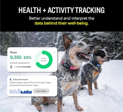 Series 3 Smart Dog Collar with GPS Tracking and Activity Monitor, Waterproof with LED Light, Gray, Large