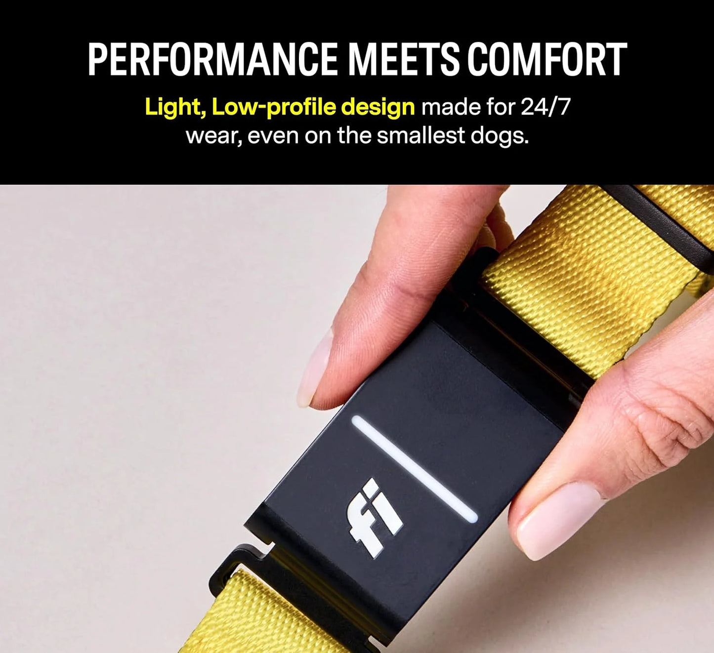 Series 3 Smart Dog Collar with GPS Tracking and Activity Monitor, Waterproof with LED Light, Gray, Large