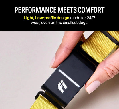 Series 3 Smart Dog Collar with GPS Tracking and Activity Monitor, Waterproof with LED Light, Gray, Large