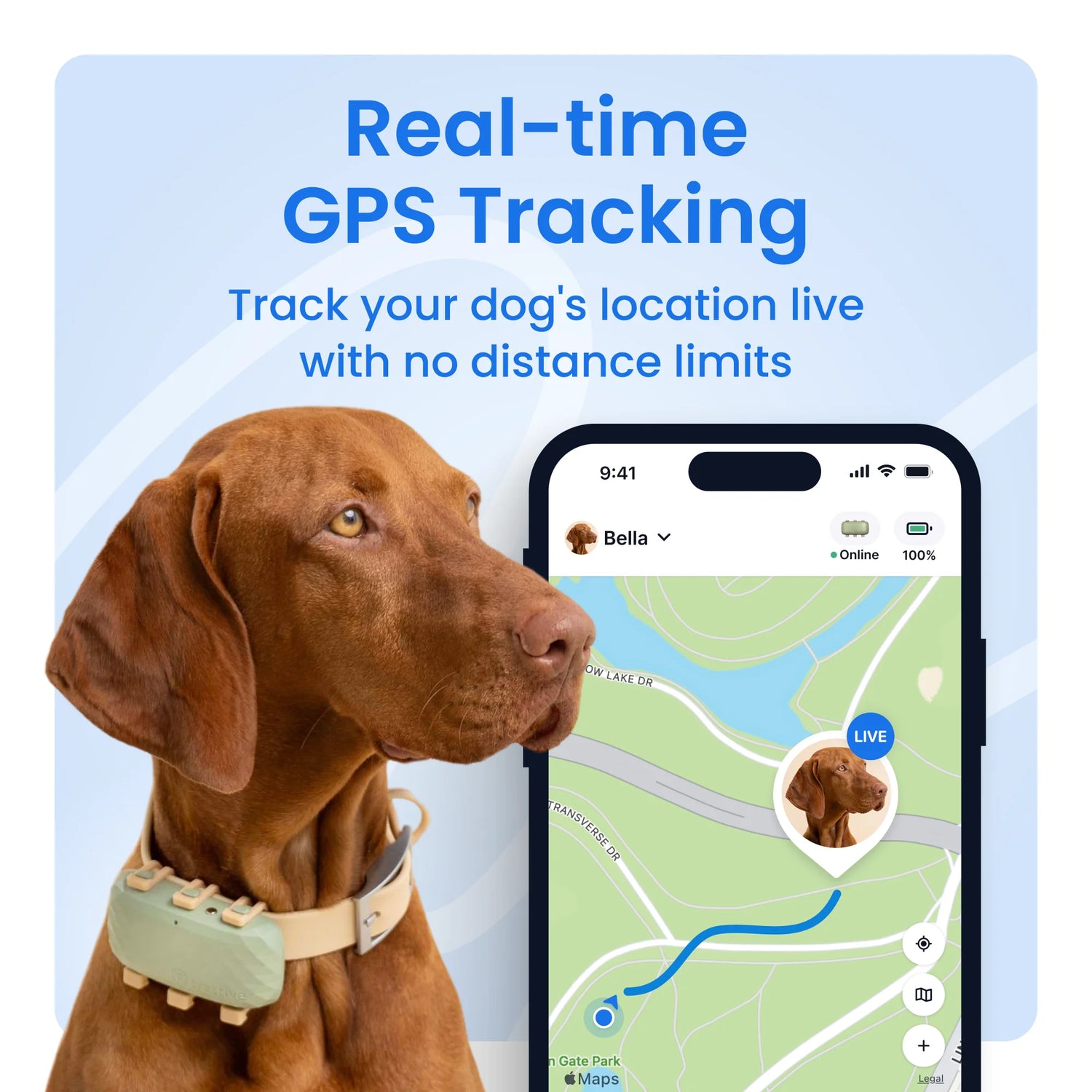 GPS Dog Tracker with Vital Signs Monitoring - Real-Time Tracking, Escape Alerts, Health Insights for Dogs 50+ lbs, 1-Month Battery, App-Connected (Green)